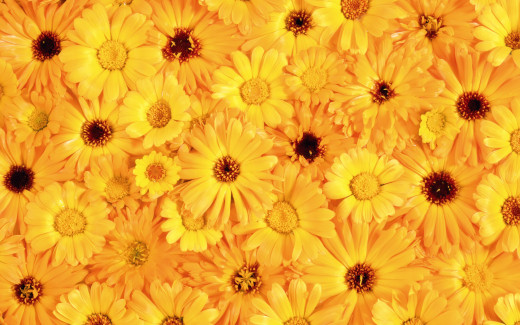 449023 (a): :1920x1200